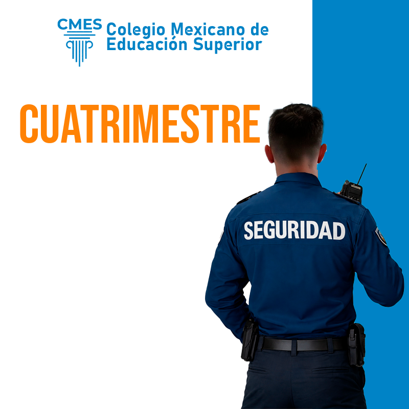 seguridad pública